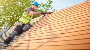 Best Rubber Roofing (EPDM, TPO)  in Genoa, OH