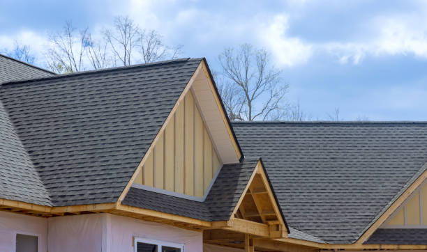 Best Roof Maintenance and Cleaning  in Genoa, OH