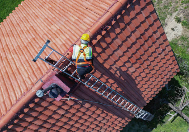 Best Roof Ventilation Installation  in Genoa, OH