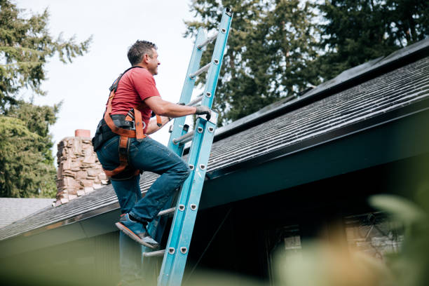 Best Sheet Metal Roofing  in Genoa, OH